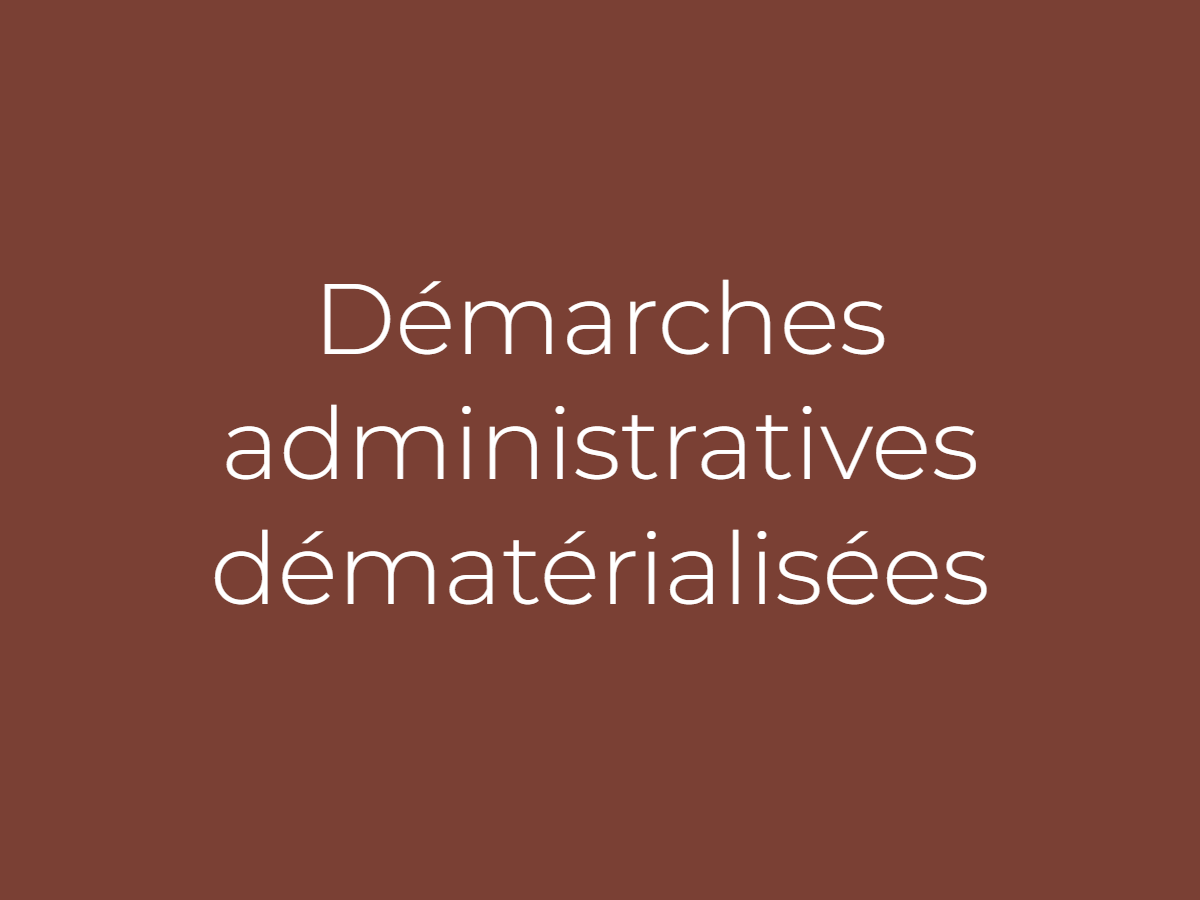 Les démarches administratives et la dématérialisation : le cadre législatif et les difficultés rencontrées